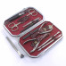 Маникюрный набор профессиональный Zinger 804-SM (10 предметов)